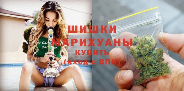 метадон Осташков